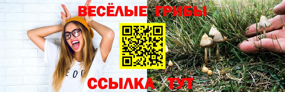 Галлюциногенные грибы MAGIC MUSHROOMS Тобольск