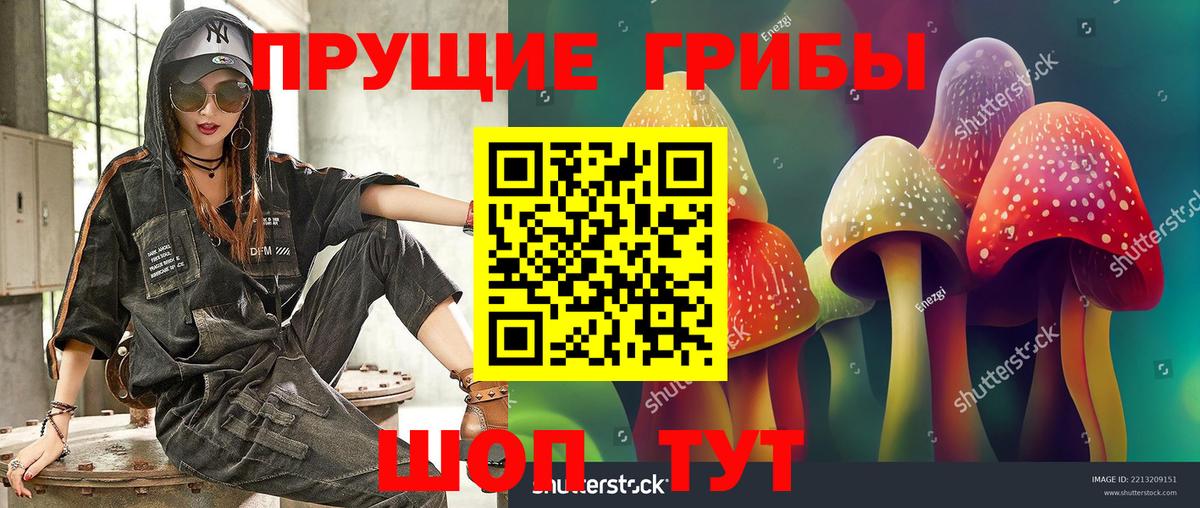 Псилоцибиновые грибы Cubensis  Вход с VPN  Галлюциногенные грибы мицелий  Тобольск 